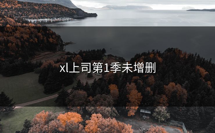 xl上司第1季未增删