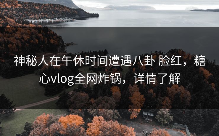 神秘人在午休时间遭遇八卦 脸红，糖心vlog全网炸锅，详情了解